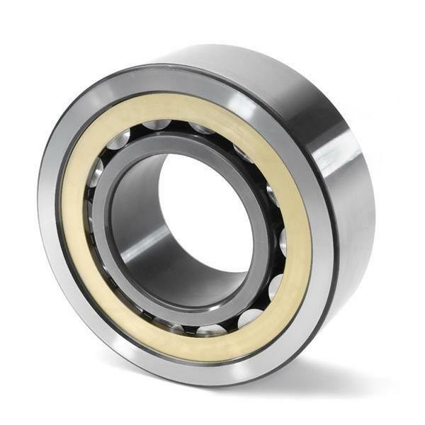 SL183011 INA Cylindrical Roller Bearing #1 image